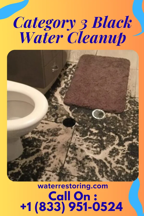 Category 3 Black Water Cleanup in Finley, WA