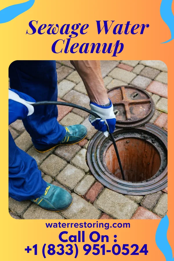 Sewage Water Cleanup in Finley, WA